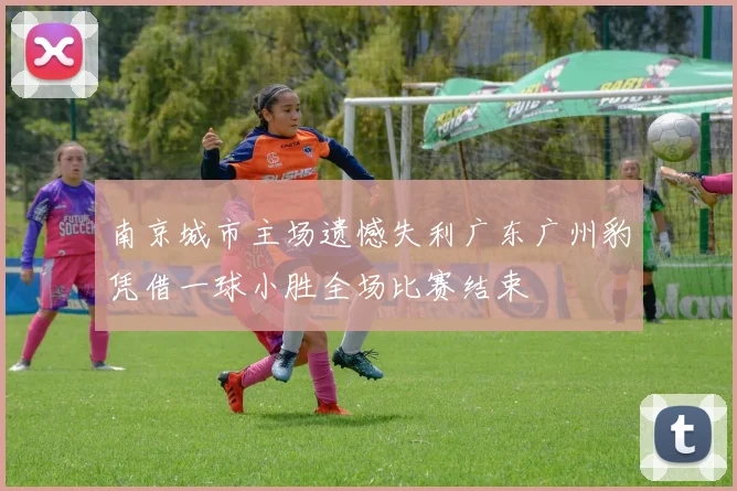 南京城市主场遗憾失利广东广州豹凭借一球小胜全场比赛结束